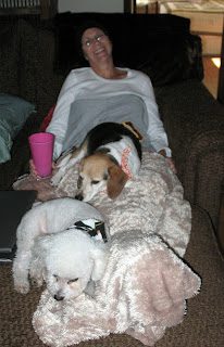 Person reclining under blanket with two dogs