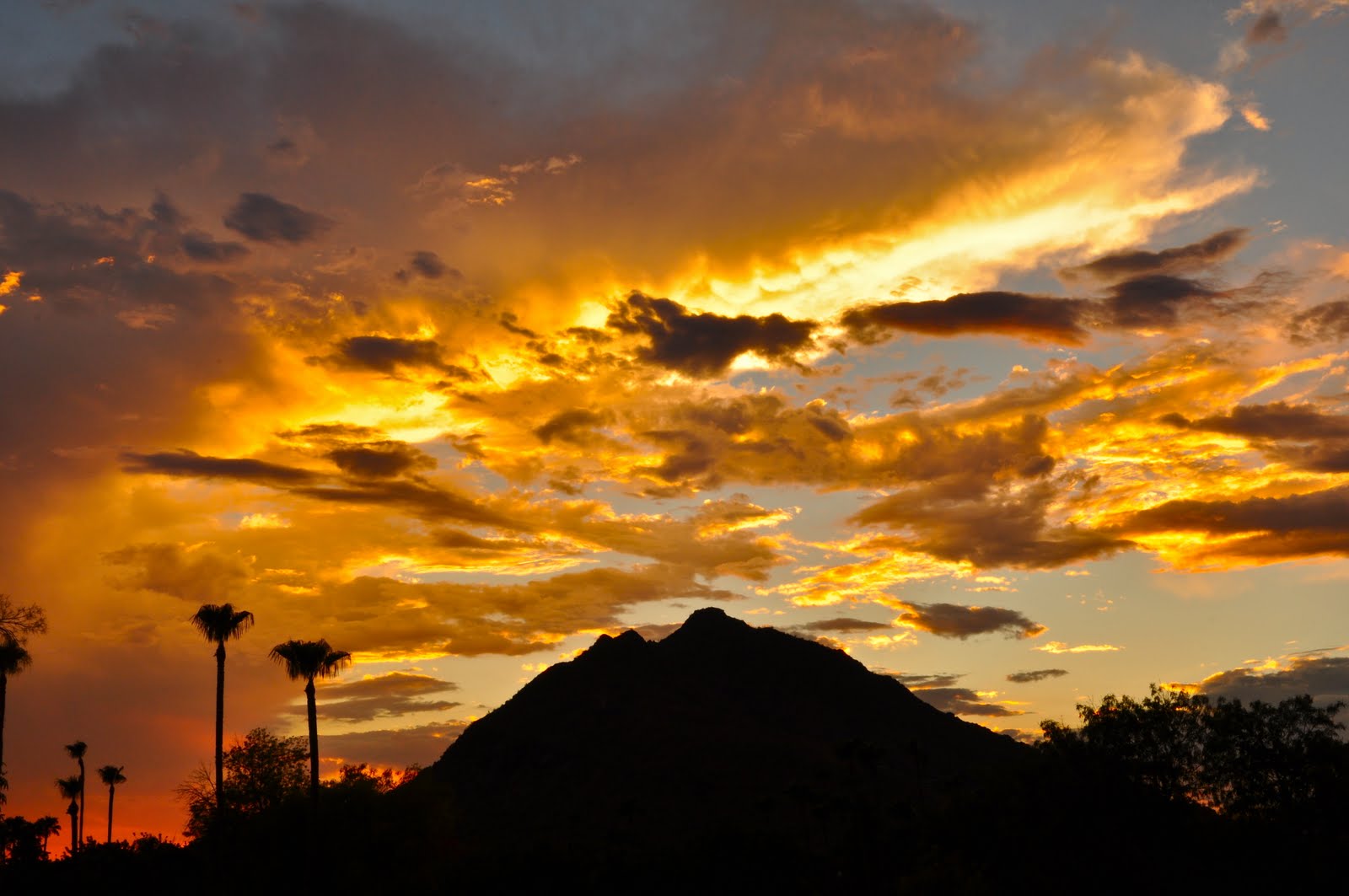 Sunset over Scottsdale, Arizona, showcasing the breathtaking beauty of Colleen's Dream.