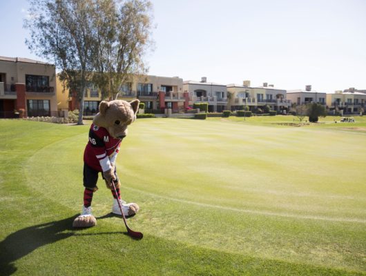 A mascot is playing golf on a golf course.